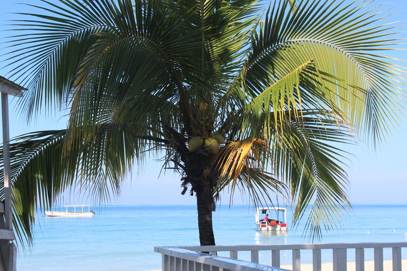 Zanzi Beach Resort Negril Exterior foto